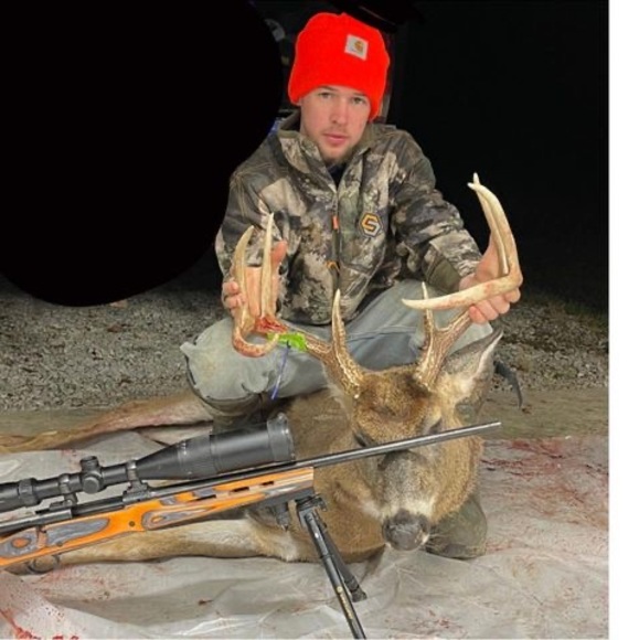 Meet your Posher, Joey - Picture 1 of 1